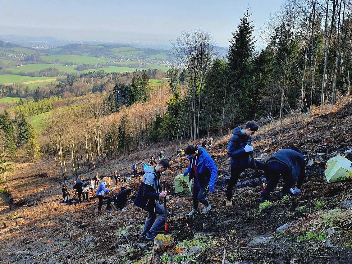 Stromy pro Javorník, 13. října 2023