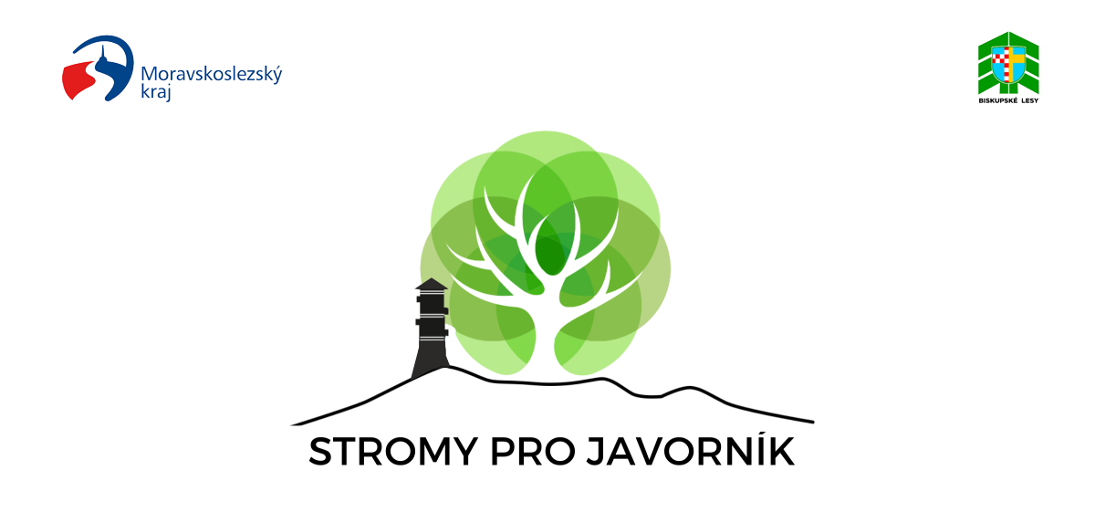 Stromy pro Javorník  2024 - obnova našich lesů